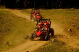 Alanya: Buggy Safari Adventure with Hotel Transfers - Easy riding, real outdoor fun: what you feel behind the wheel