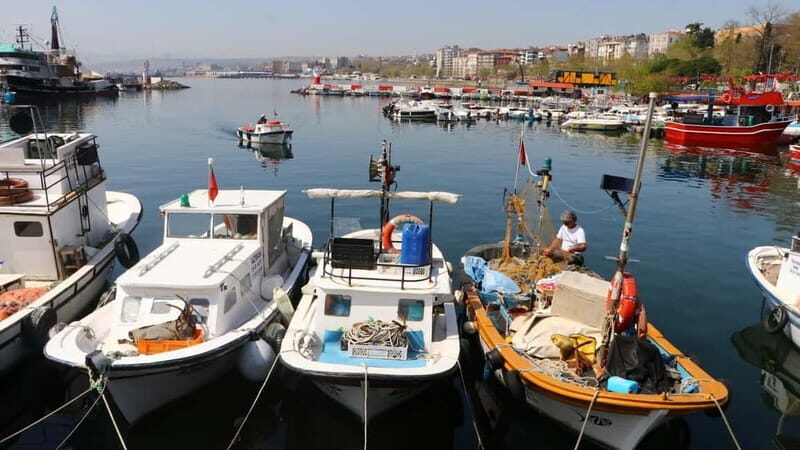 Alanya: Fishing Tour with Lunch and Hotel Transfers - Entering Alanya Port: the start of the “real” experience