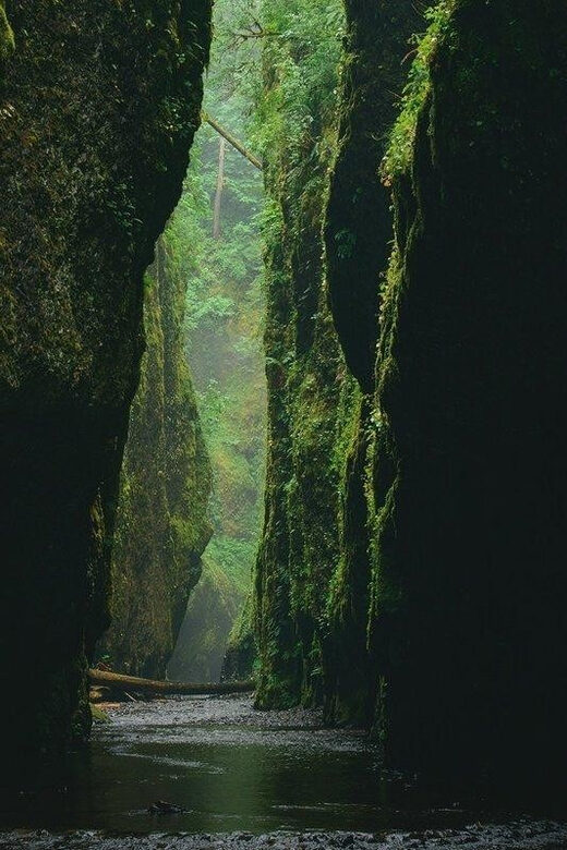 Alanya Green Canyon Boat tour with Lunch and Swimming Breaks - Languages and guiding style: what it feels like on the day