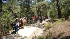 Alanya: Horse Riding Adventure - Orientation and what you’ll actually need to feel comfortable