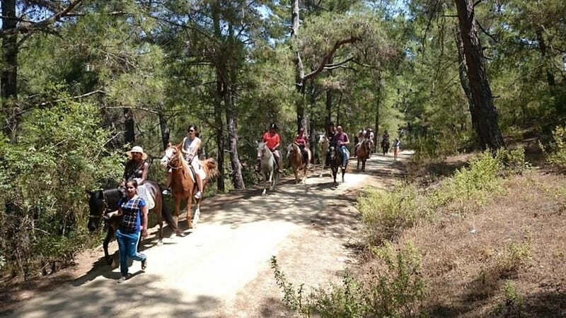 Alanya: Horse Riding Adventure - Orientation and what you’ll actually need to feel comfortable