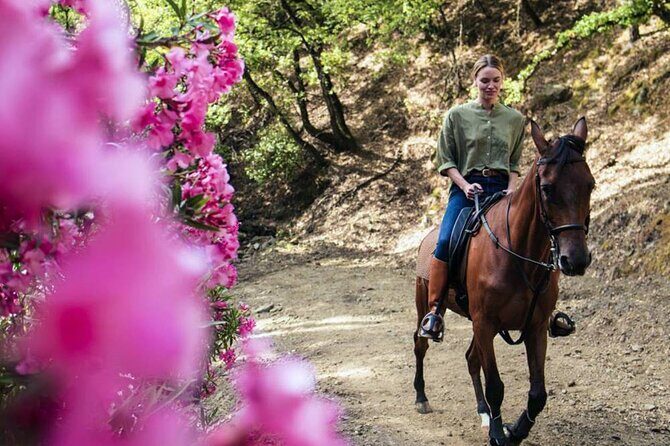 Alanya Horse Riding Experience With Free Hotel Transfer - The 3-hour plan, broken down step by step