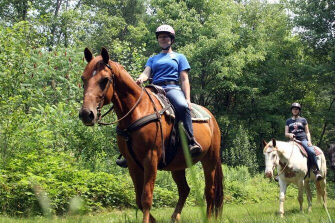 Alanya Horse Riding Experience With Free Hotel Transfer - Syedra’s old walls and mosaics: why this stop is worth it