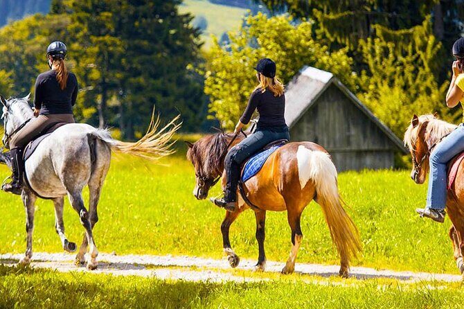 Alanya Horse Riding Experience With Free Hotel Transfer - Village riding and the feel-good side of a slow adventure