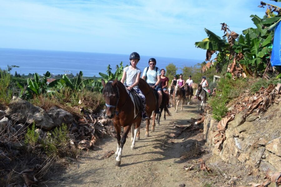 Alanya: Horse Riding Tour - The horse farm break: Turkish tea, apple tea, and foam party time
