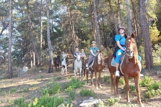 Alanya Horseback Riding in the Taurus Mountains with Transfer - Horses and rider comfort: what “all skill levels” really means