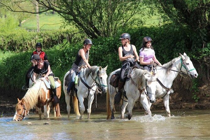 Alanya Horseback Riding in the Taurus Mountains with Transfer - Pickup, timing, and the Alanya Belediyesi Park stable meet-up