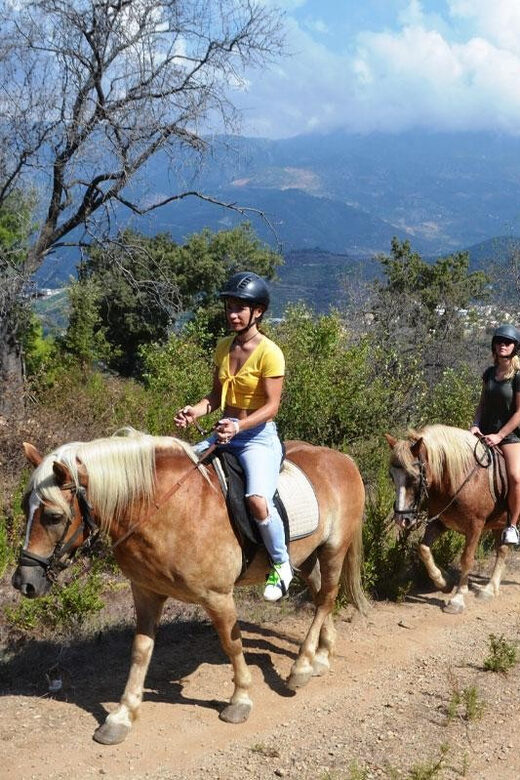 Alanya: Private Horse Safari - Before you mount: pickup, gear, and the first instructions
