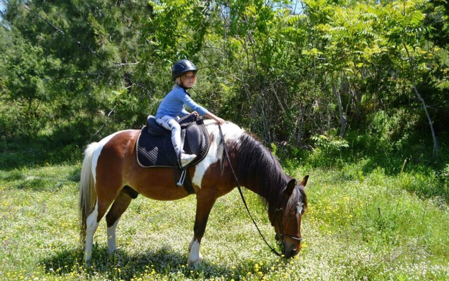 Alanya: Private Horse Safari - Who this private horse safari suits best