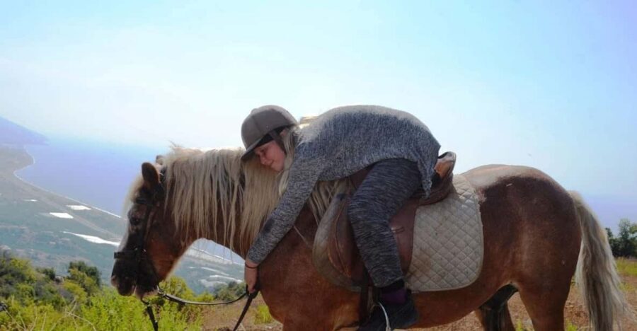 Alanya: Private Horse Safari - Horse care and your safety checklist (don’t skip this)