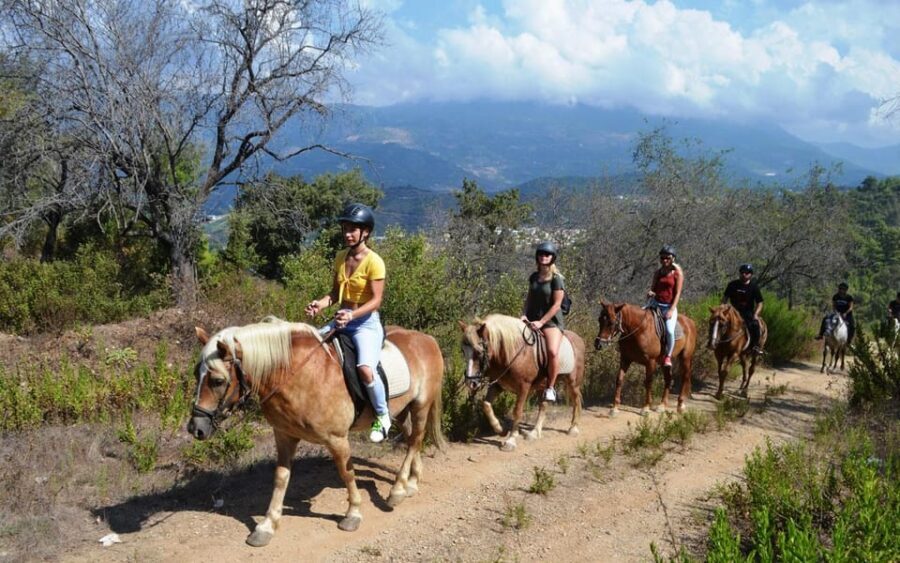 Alanya: Private Horse Safari - Should you book the Alanya private horse safari?