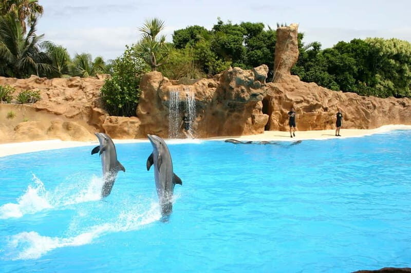 Alanya: Sealanya Dolphinpark Dolphin Show Tour - Otaria and Dolphins: Why Mixing Species Helps Families