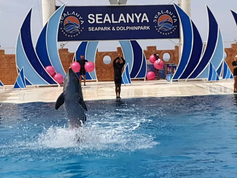 Alanya: Sealanya Dolphinpark Dolphin Show Tour - Tribunes, Seats, and the Best Viewing Moves