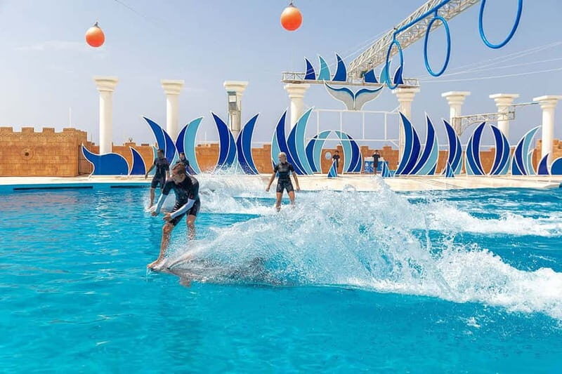 Alanya: Sealanya Dolphinpark Dolphin Show Tour - Outside the Show: Plan Your Expectations
