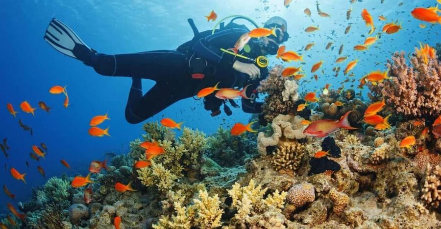 Alanya:Scuba Diving Boat Trip with Lunch and Transfer - Hotel pickup across Alanya: convenient, but pack smart