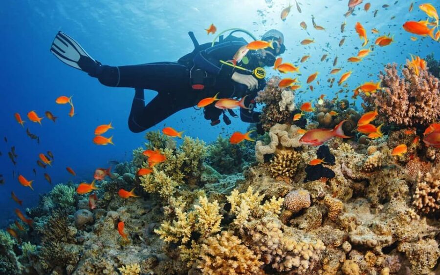 Alanya:Scuba Diving Boat Trip with Lunch and Transfer - The coach ride and Alanya time: why you’re not sitting around