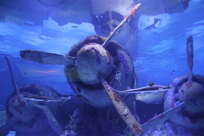 Alexander Waterfall and Antalya Aquarium Day Tour from Side - Side to Antalya in One Day: How the Timing Really Feels