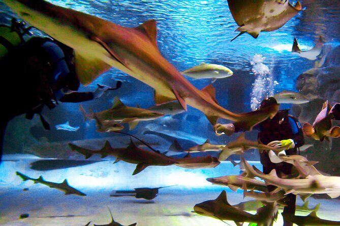 Alexander Waterfall and Antalya Aquarium Day Tour from Side - Who Should Book This Tour (and Who Might Not)