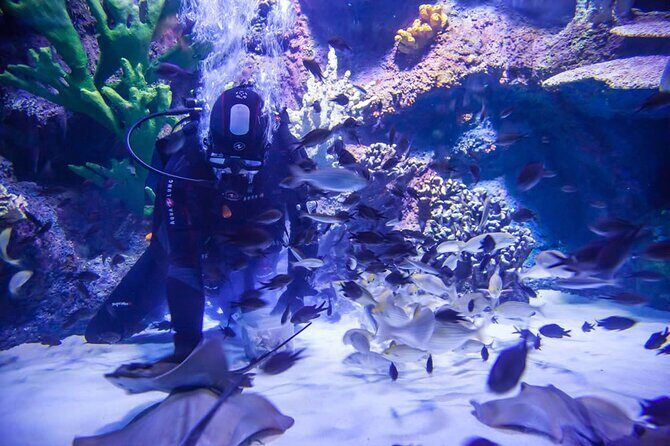 Alexander Waterfall and Antalya Aquarium Day Tour from Side - Antalya Tunnel Aquarium: The Wow-Factor Worth the Ticket