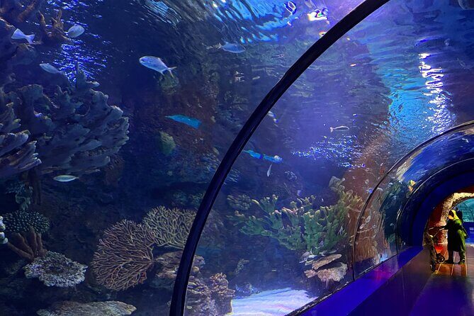 Antalya Aquarium and Face to Face Wax Museum Private Transfer - Who This Tour Suits Best (and Who Might Skip)