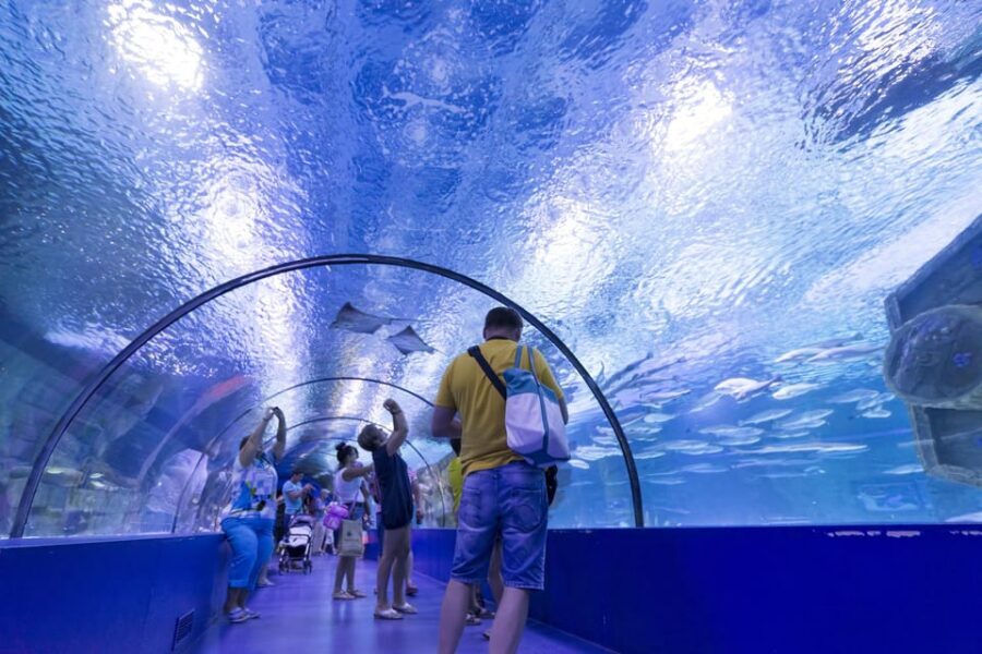 Antalya: Aquarium and Wax Museum Entry Ticket - Practical planning: shoes, photography rules, and how long to plan