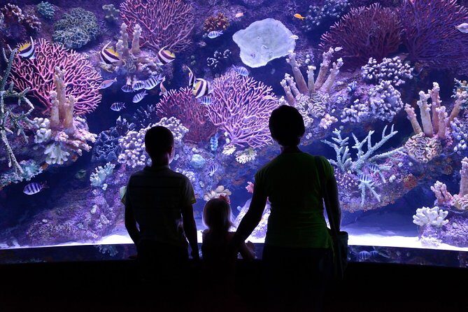 Antalya: Aquarium Ticket With Optional Transfer - Wild Park and Snow World: check what’s actually included