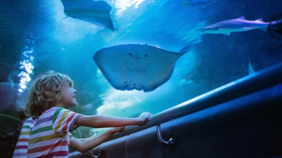 Antalya: Aquarium, Wax Museum, Snow World, Wild Park - The river-to-ocean journey: Nile, Amazon, and regional ocean tanks