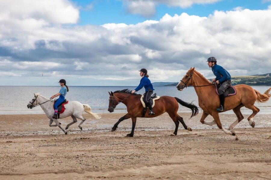 Antalya: Guided ATV and Horse Riding Safari in Lara - Who this is best for (and who should skip it)