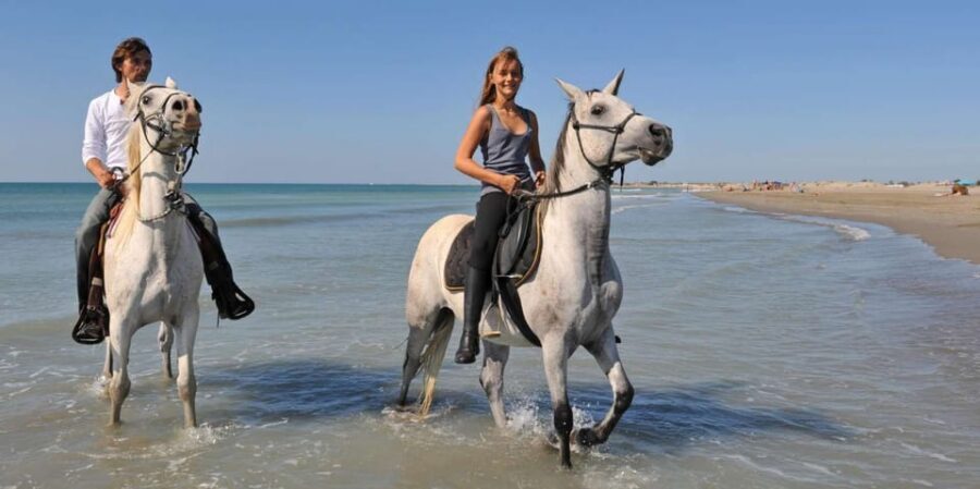 Antalya: Guided ATV and Horse Riding Safari in Lara - Price and value: is $86 actually a good deal?