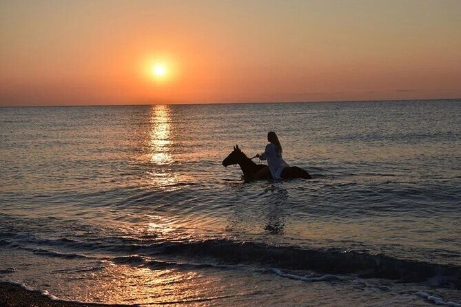 Antalya Horse Riding On Beach And Through The Forests For 2 Hours - The real schedule: transfers, mounting, and 70 minutes in the saddle