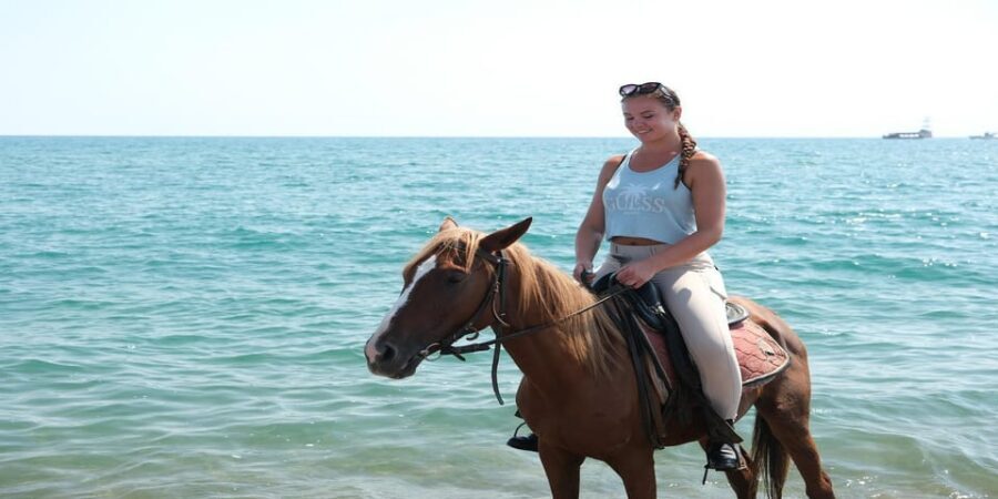 Antalya Horse Safari - Key things to know before you go