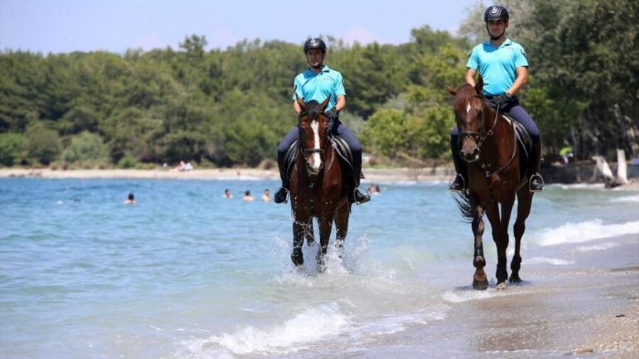 Antalya Horse Safari - How the 1.5-Hour Antalya Ride Is Designed