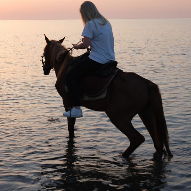 Antalya Horse Safari - Part 1: Riding Through the Pine Forest
