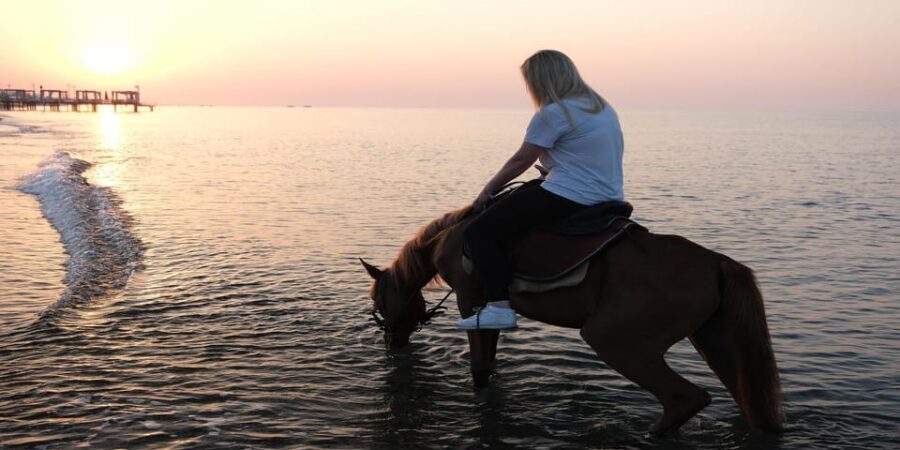 Antalya Horse Safari - The Photo Reality: Enjoy It, Plan for It