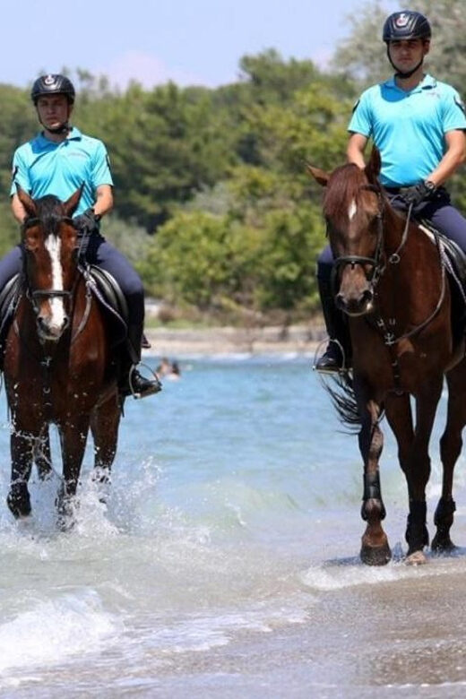 Antalya Horse Safari - Price and Value: Is $47 Worth It?