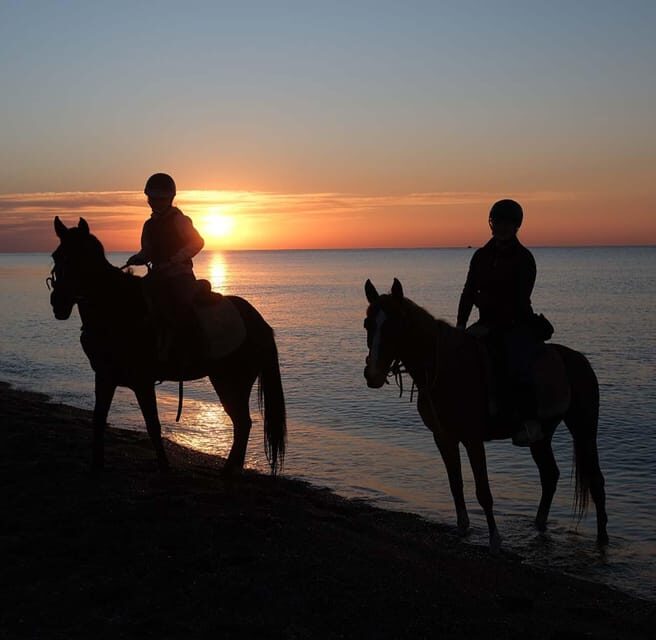 Antalya: Horseback Riding on the Beach and in the Forest - Pickup driver details: small things that affect your mood