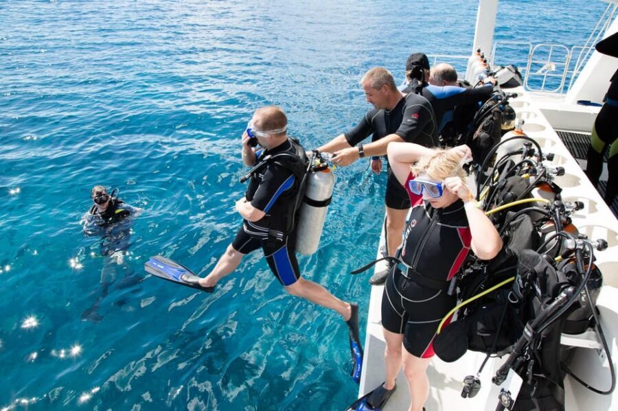 Antalya/ Kemer/ Belek Scuba Diving With Lunch & Transfer - Key Things I’d Highlight Before You Go