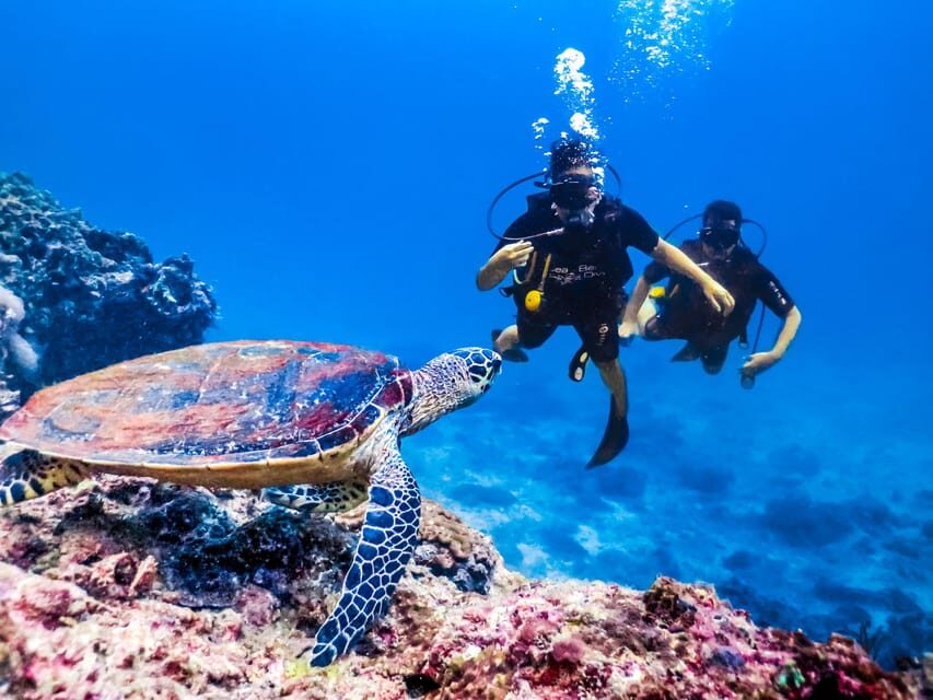 Antalya/ Kemer/ Belek Scuba Diving With Lunch & Transfer - What to Bring for a Smooth Day on the Water