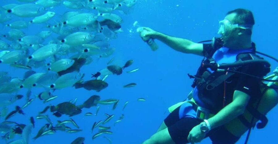 Antalya/ Kemer/ Belek Scuba Diving With Lunch & Transfer - Why Kemer’s Clear Water Fits a First Scuba Day