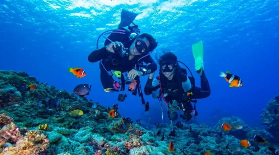 Antalya/ Kemer/ Belek Scuba Diving With Lunch & Transfer - Two Underwater Sessions in Kemer: What You’ll Actually Experience