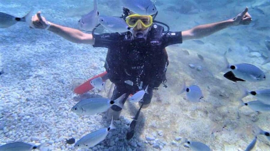 Antalya/ Kemer/ Belek Scuba Diving With Lunch & Transfer - Price and Value: What $47 Gets You (and What It Doesn’t)