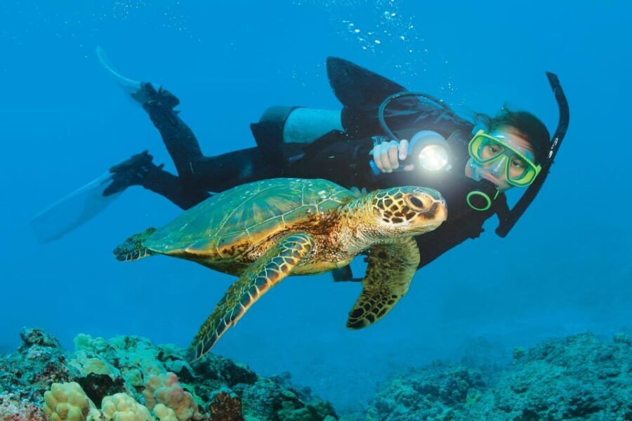 Antalya/ Kemer/ Belek Scuba Diving With Lunch & Transfer - Who This Suits Best (And Who Should Skip It)