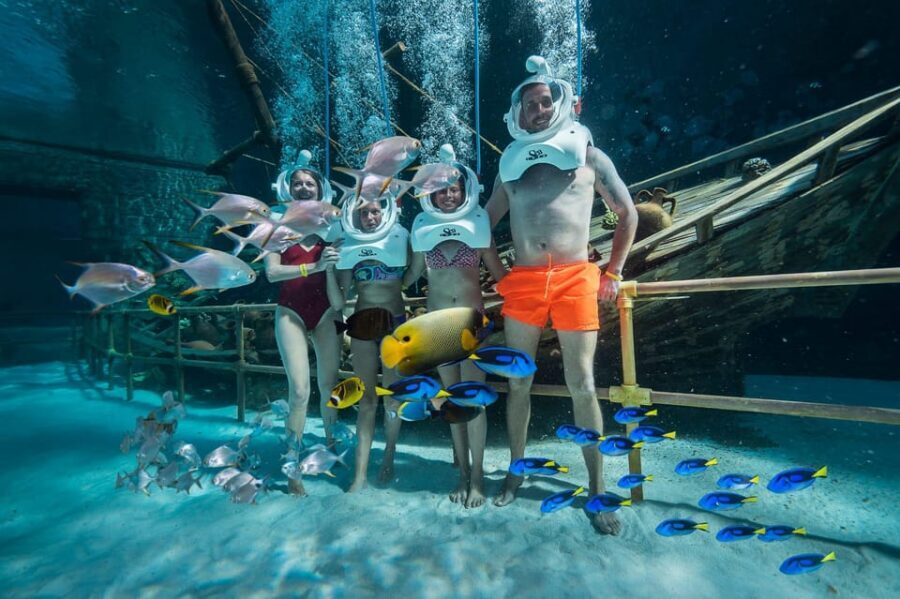 Antalya: Land of Legends Park Round-Trip Hotel Transfers - Shows and indoor entertainment: dolphins, sea lions, and 5D cinema