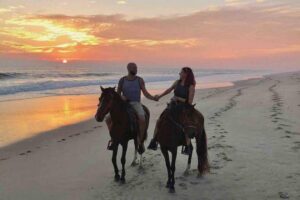 Antalya: Lara Beach & Forrest Horse Riding Safari - How the 80–90 minute timing actually feels