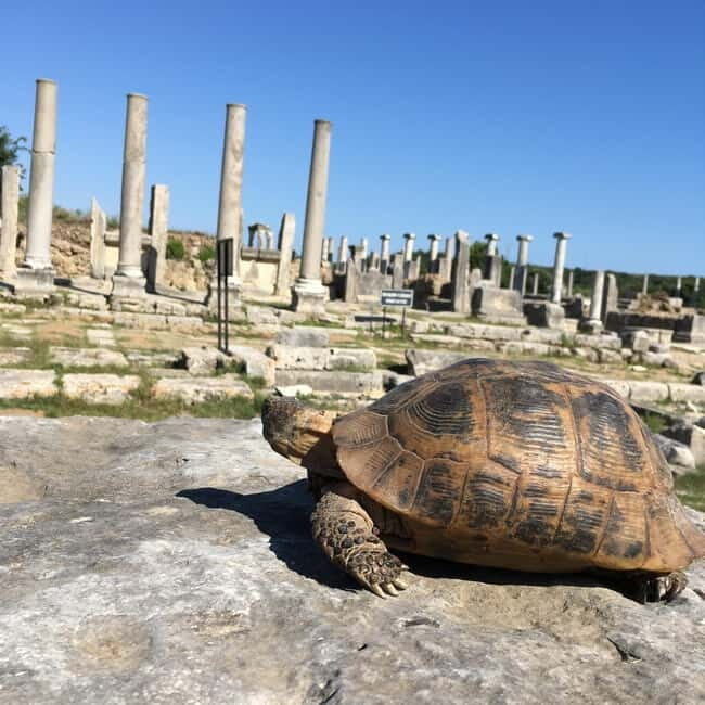 Antalya: Perge Ancient City Tour - Ancient Theater and Stadium: Where Crowds Would Have Roared