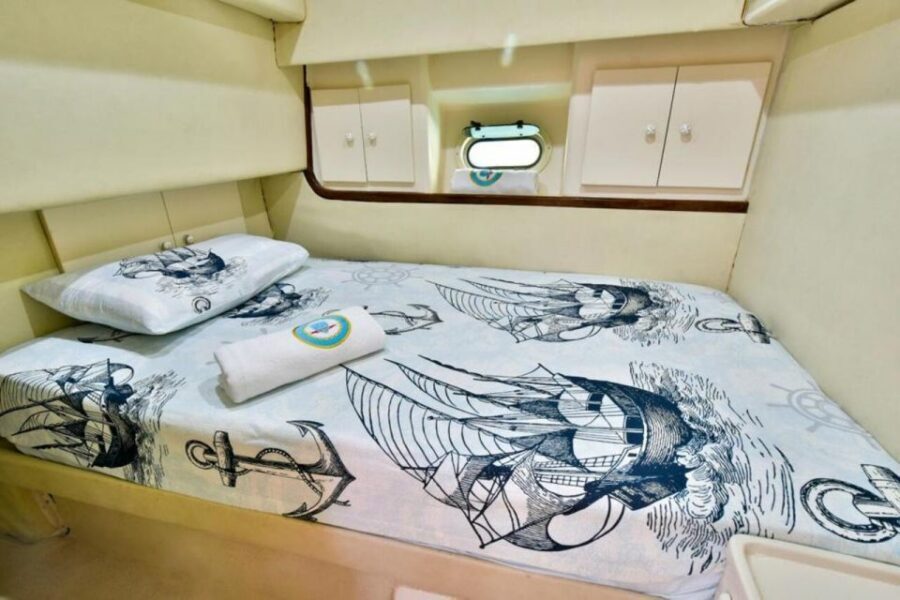 Antalya: Private Yacht Tour with 3 Swim Stops and a Meal - Dolphins, caves, and bays: what each stop feels like