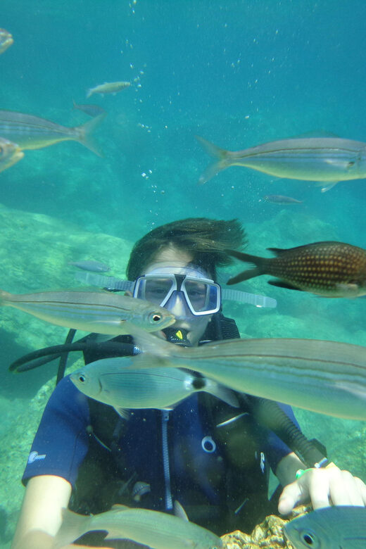 Antalya Scuba Diving Tour, With Lunch & Return Transfers - Should you book this Antalya scuba tour?