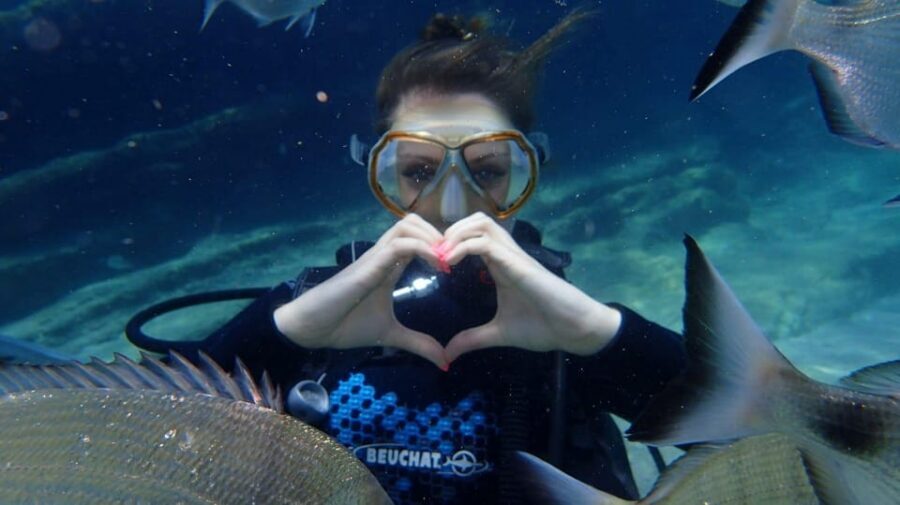 Antalya Scuba Diving Tour, With Lunch & Return Transfers - Antalya’s Mediterranean Sea: why this tour works for first-timers