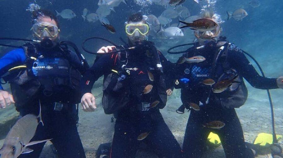 Antalya Scuba Diving Tour, With Lunch & Return Transfers - Martı Island after lunch: the second session plus a real break