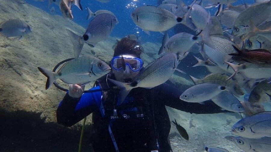Antalya Scuba Diving Tour, With Lunch & Return Transfers - Price and value: what you’re really getting for $38